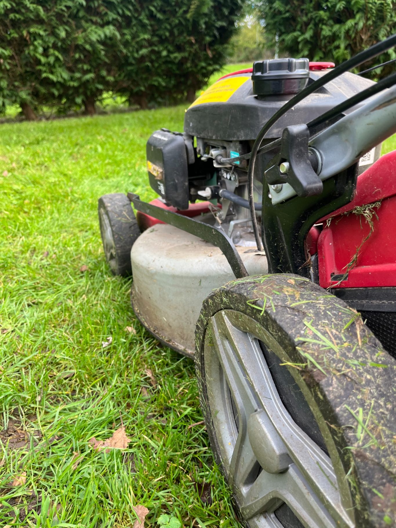 Grass cutting
